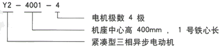 YR系列(H355-1000)高压YKS4506-8/315KW三相异步电机西安西玛电机型号说明